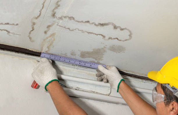 Reliable Structural Drying contractor in Silex, MO by Water Damage Irwin